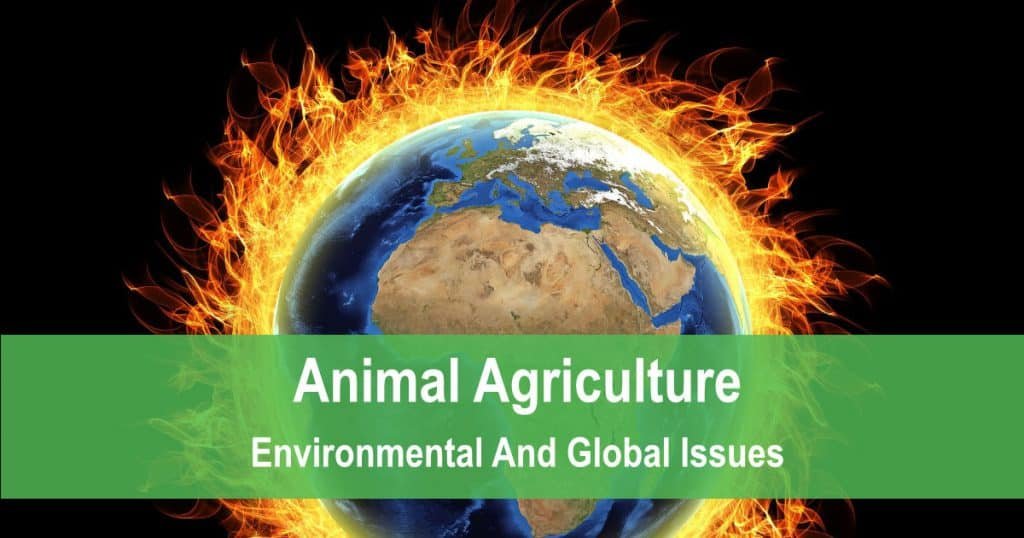 Animal Agriculture Environmental And Global Issues Gingerkale