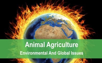 Animal Agriculture: Environmental And Global Issues