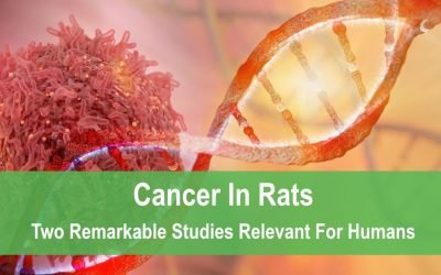 Cancer In Rats: Two Remarkable Studies Relevant For Humans