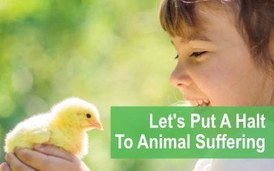 Let’s Put A Halt To Animal Suffering