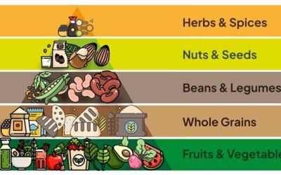 The Whole Food Plant-Based Diet Pyramid